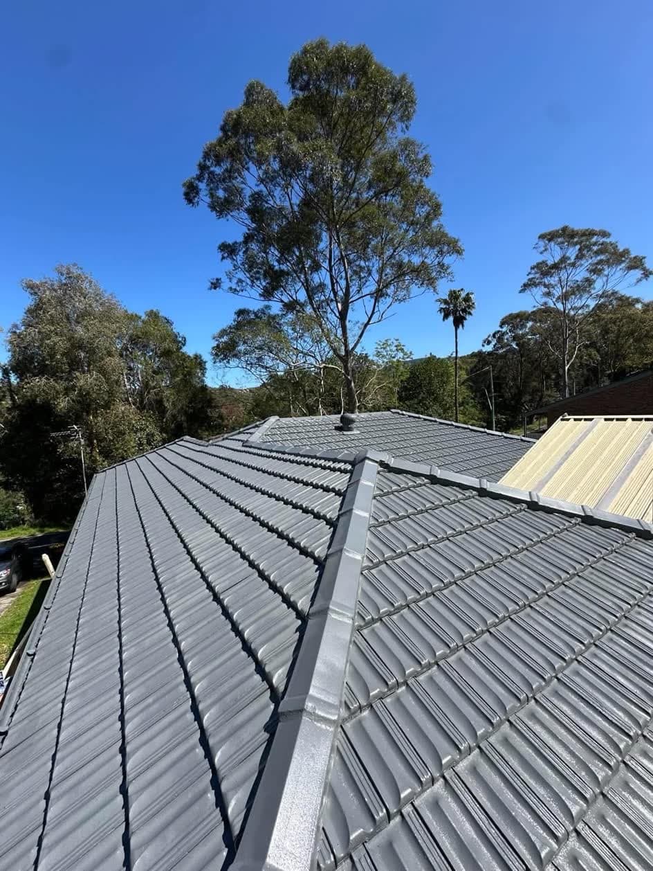 The same roof cleaned and recoated in charcoal grey
