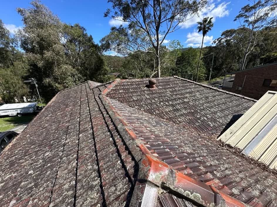 Faded terracotta tile roof covered in lichen