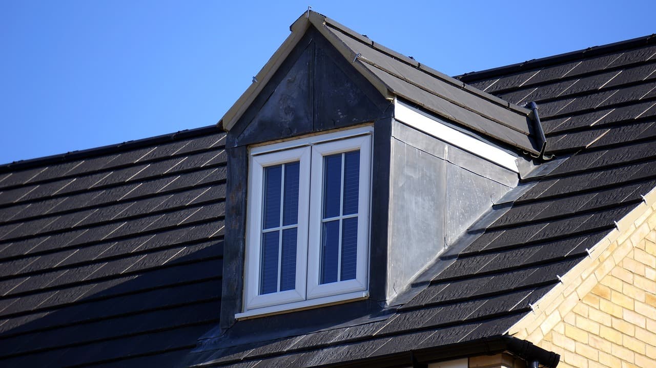 Roof Painting